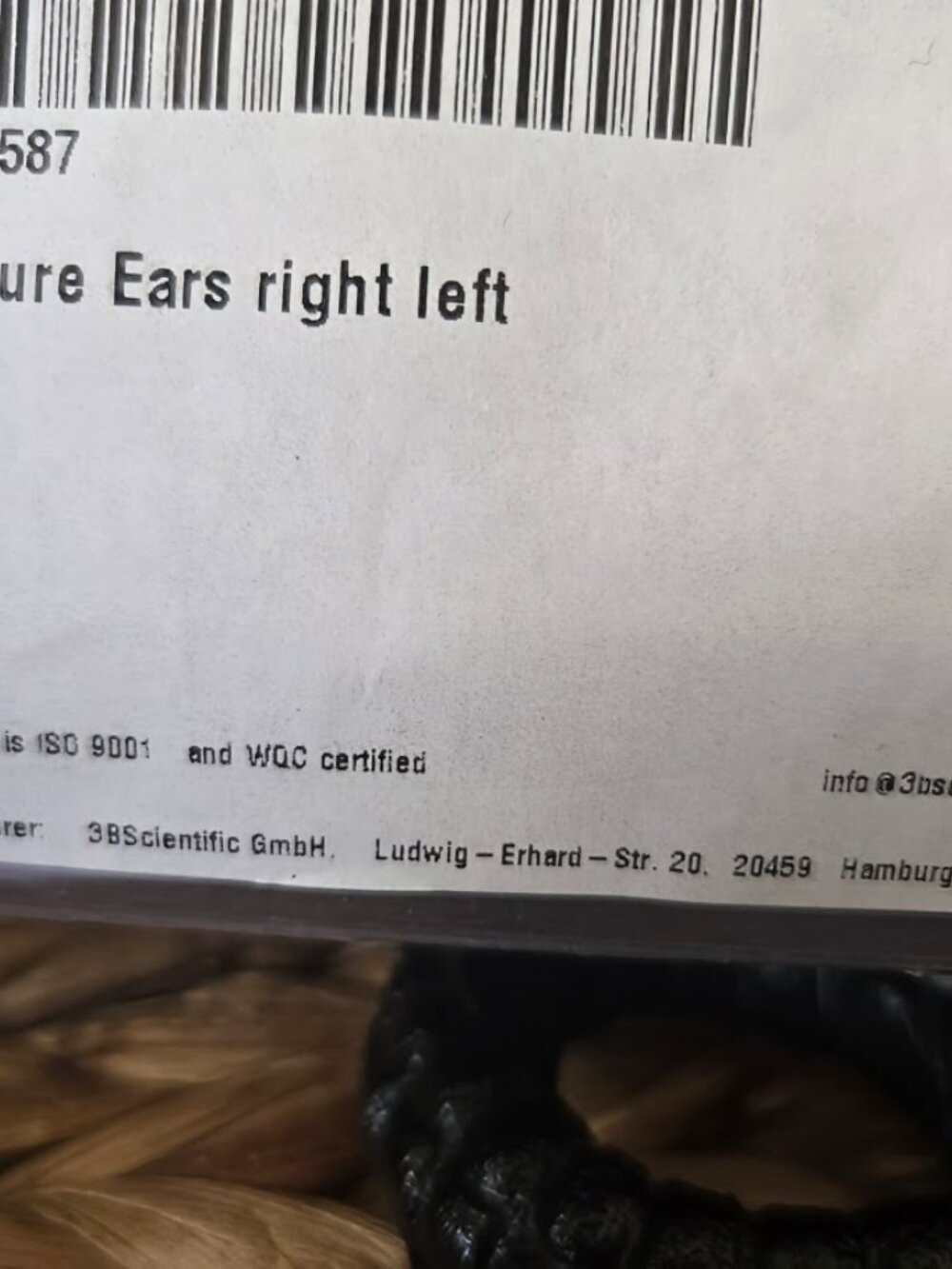 3B Scientific Acupuncture Ears Model Set (Left & Right) - Brand New in Box - Picture 5 of 15